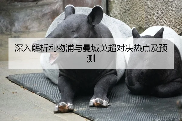 深入解析利物浦与曼城英超对决热点及预测